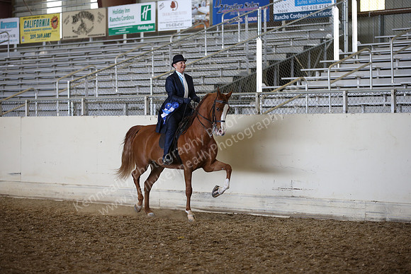 AHANC_Show18_FriPM_2148