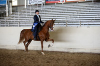 AHANC_Show18_FriPM_2150