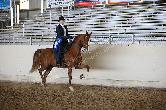 AHANC_Show18_FriPM_2150