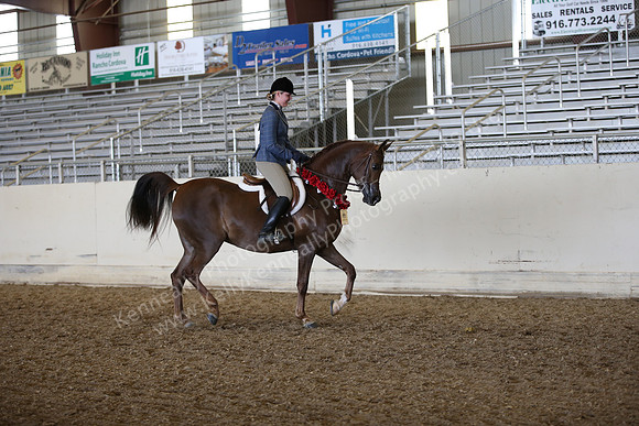 AHANC_Show18_FriPM_2113