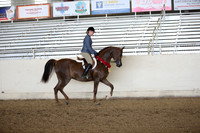 AHANC_Show18_FriPM_2115