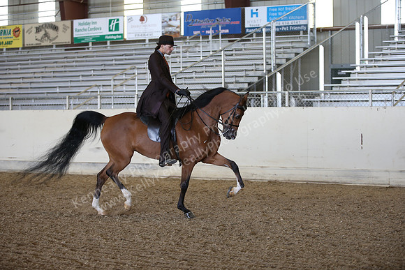 AHANC_Show18_FriPM_2042