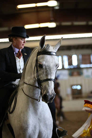 AHANC_Show18_FriPM_2044