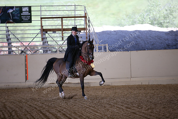 AHANC_Show18_FriPM_2047