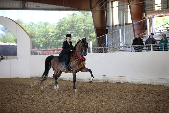 AHANC_Show18_FriPM_2052