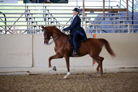 AHANC_Show18_FriPM_2125