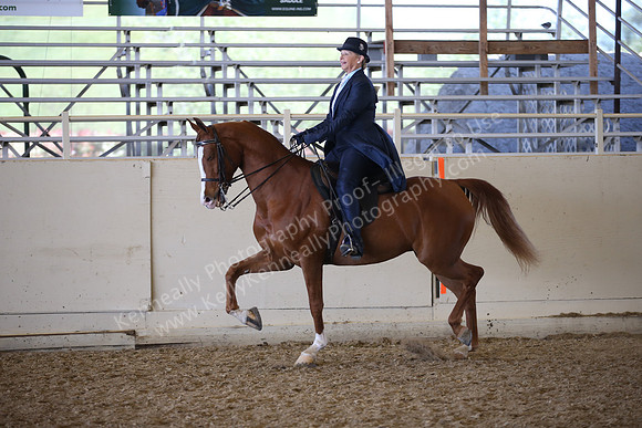 AHANC_Show18_FriPM_2125