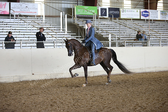 AHANC_Show18_FriPM_2129