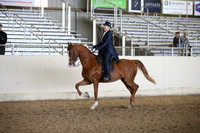 AHANC_Show18_FriPM_2131