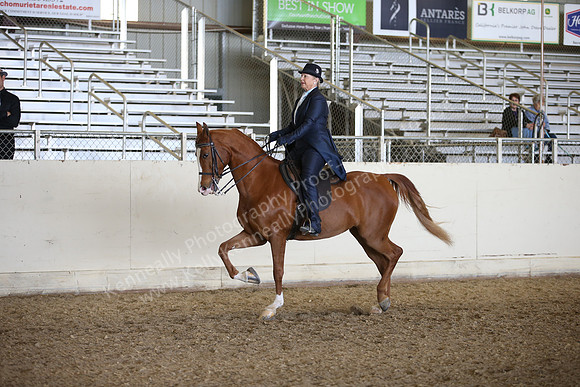 AHANC_Show18_FriPM_2131