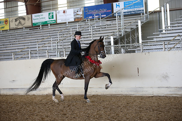 AHANC_Show18_FriPM_2055