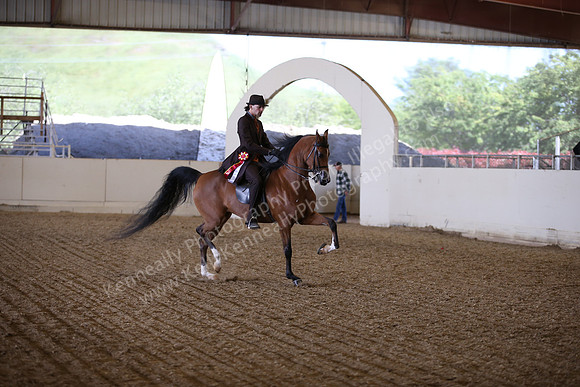 AHANC_Show18_FriPM_2059