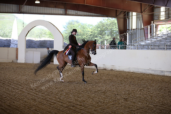 AHANC_Show18_FriPM_2060