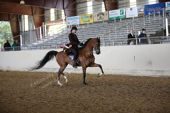 AHANC_Show18_FriPM_2061
