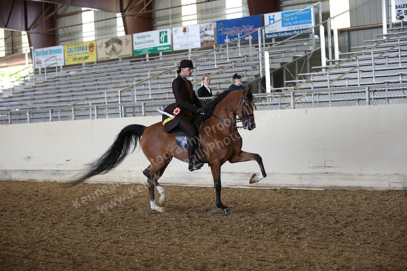 AHANC_Show18_FriPM_2062