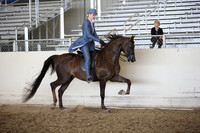 AHANC_Show18_FriPM_2139