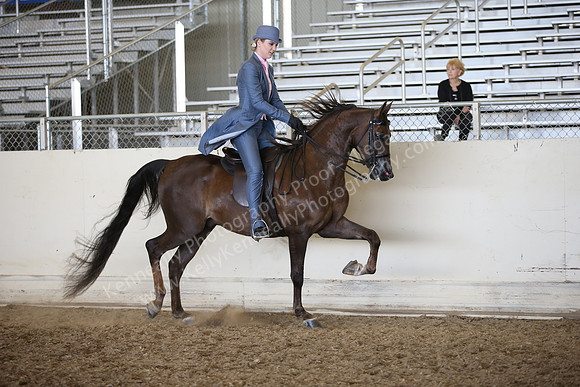 AHANC_Show18_FriPM_2139