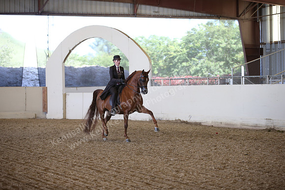 AHANC_Show18_FriPM_2142
