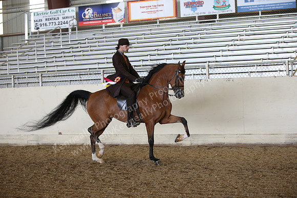 AHANC_Show18_FriPM_2063
