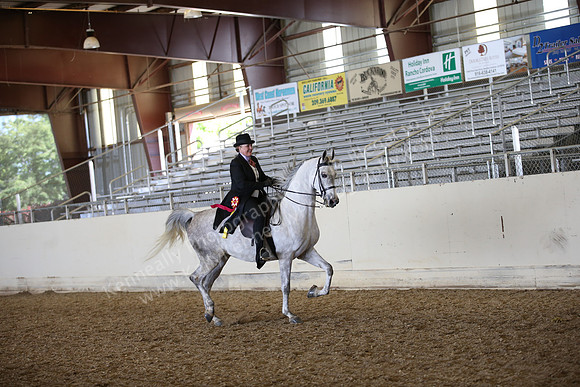 AHANC_Show18_FriPM_2066