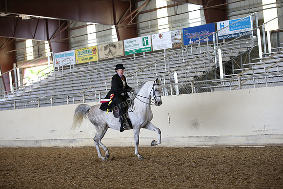 AHANC_Show18_FriPM_2067