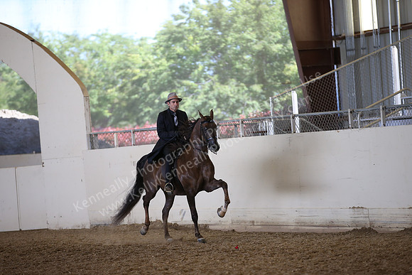 AHANC_Show18_FriPM_2031
