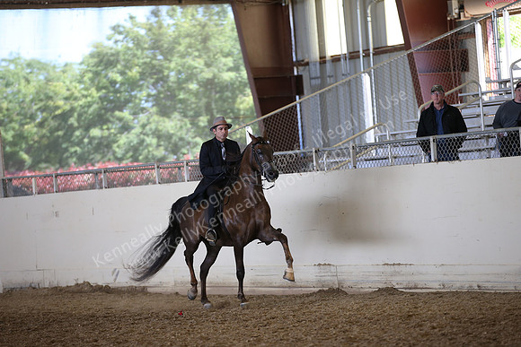 AHANC_Show18_FriPM_2032
