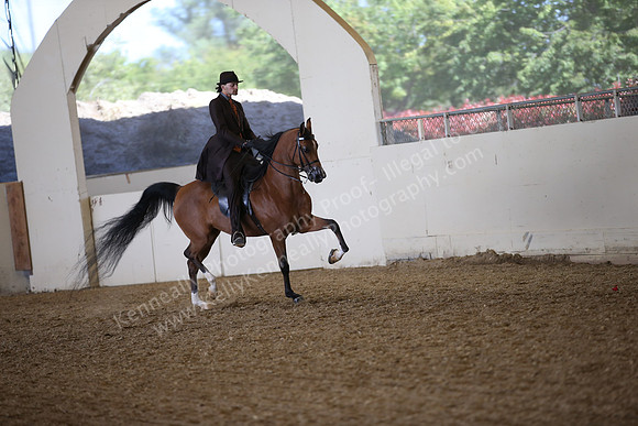 AHANC_Show18_FriPM_2035
