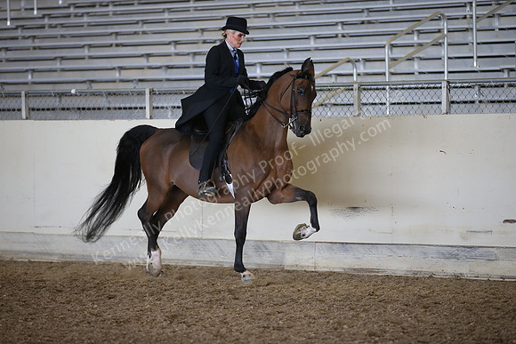 AHANC_Show18_FriPM_2041