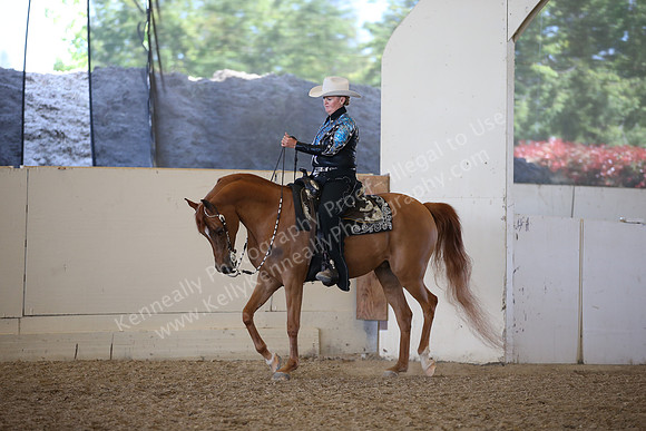 AHANC_Show18_FriPM_2156