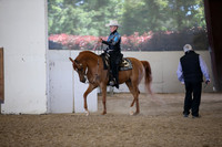 Class 91 Arabian Western Pl Champ Open