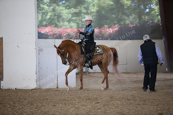 AHANC_Show18_FriPM_2153