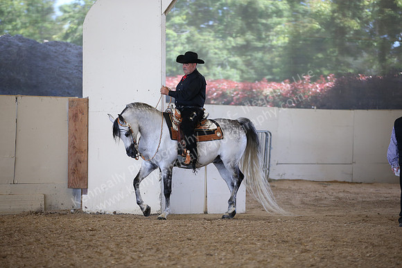 AHANC_Show18_FriPM_2160