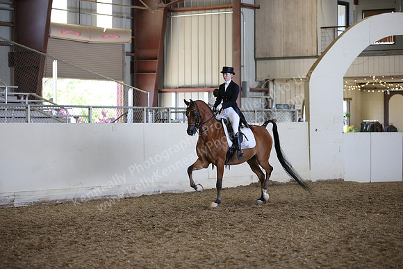 AHANC_Show18_FriPM_2211