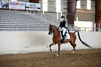 AHANC_Show18_FriPM_2212