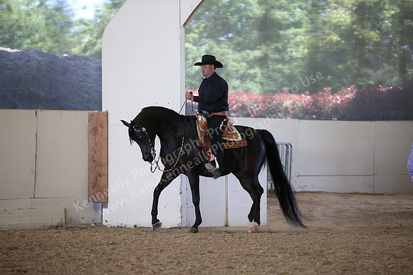 AHANC_Show18_FriPM_2163
