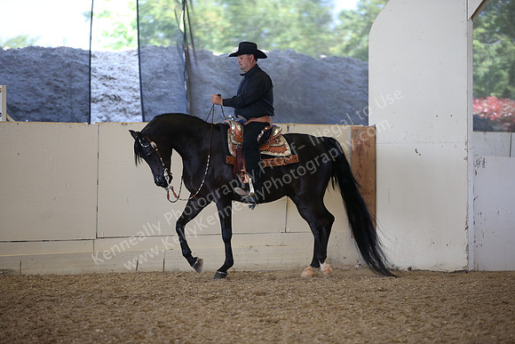 AHANC_Show18_FriPM_2164