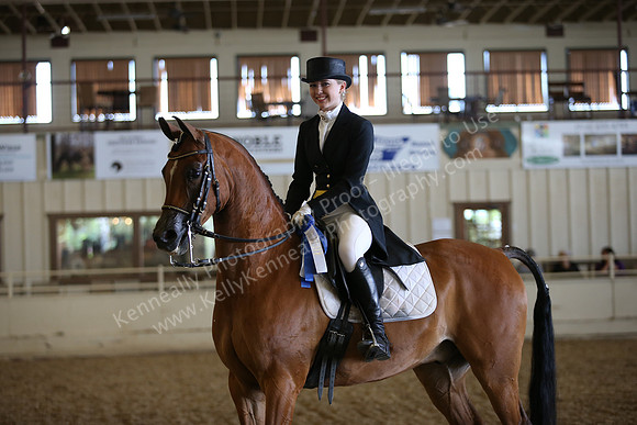 AHANC_Show18_FriPM_2216