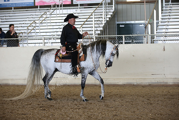 AHANC_Show18_FriPM_2195