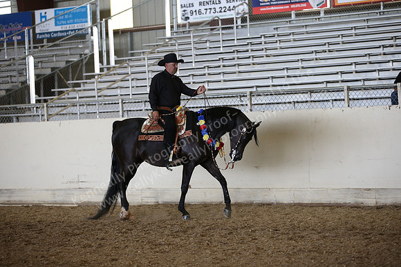 AHANC_Show18_FriPM_2197