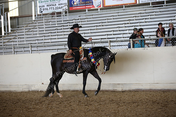 AHANC_Show18_FriPM_2198