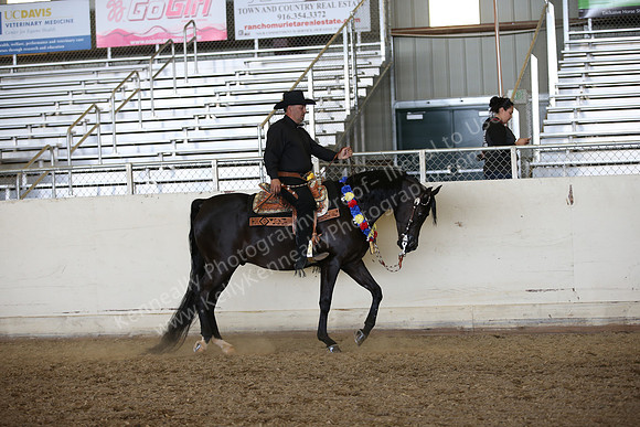 AHANC_Show18_FriPM_2201