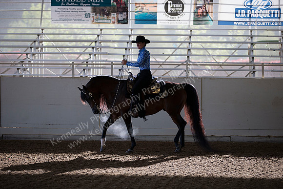 AHANC_Show18_ThursAM_0048