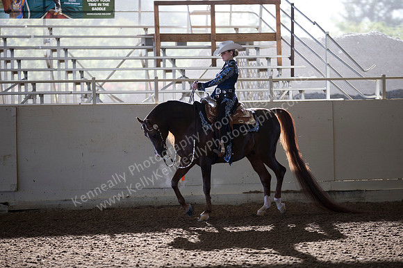 AHANC_Show18_ThursAM_0051