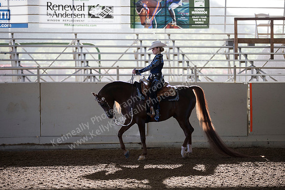 AHANC_Show18_ThursAM_0052