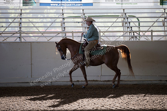 AHANC_Show18_ThursAM_0059