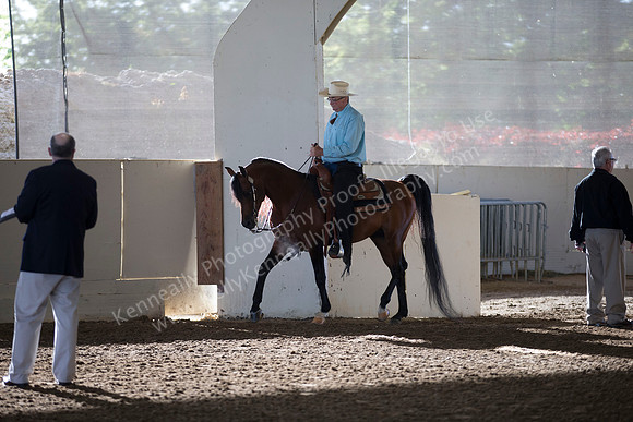 AHANC_Show18_ThursAM_0060