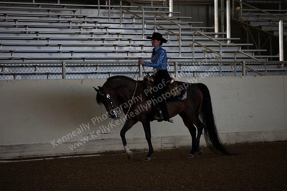 AHANC_Show18_ThursAM_0062