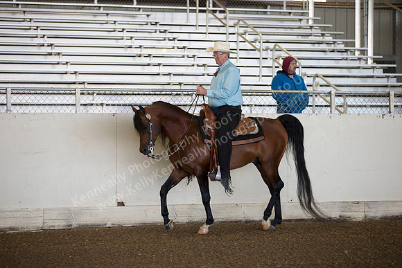 AHANC_Show18_ThursAM_0078