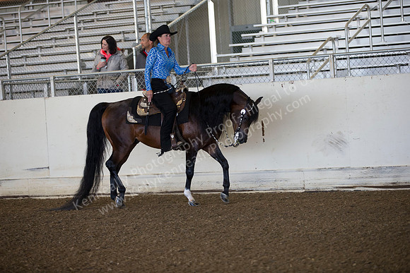 AHANC_Show18_ThursAM_0079